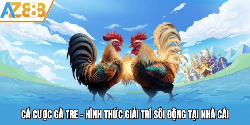 Cá Cược Gà Tre - Kèo Chọi Gà Cực Hấp Dẫn Tại Az888 1 Cá cược gà tre - Hình thức giải trí sôi động tại nhà cái