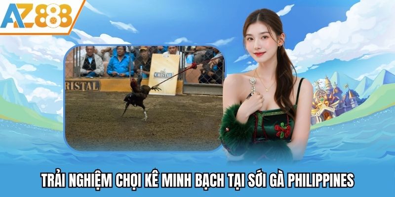 Đấu Trường Chọi Gà - Sảnh Chơi Cá Cược Chọi Kê Hấp Dẫn 2025 2 Trải nghiệm chọi kê minh bạch tại sới gà Philippines